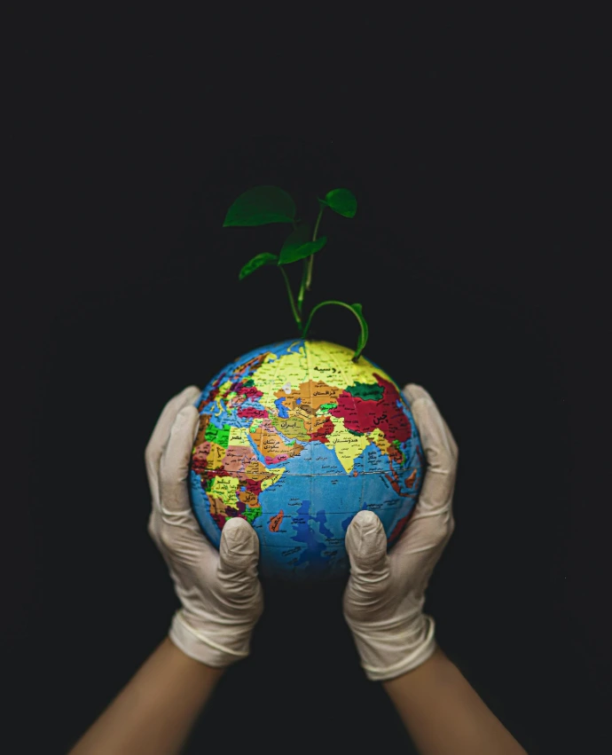 Hands in white latex gloves holding a globe with a small green plant